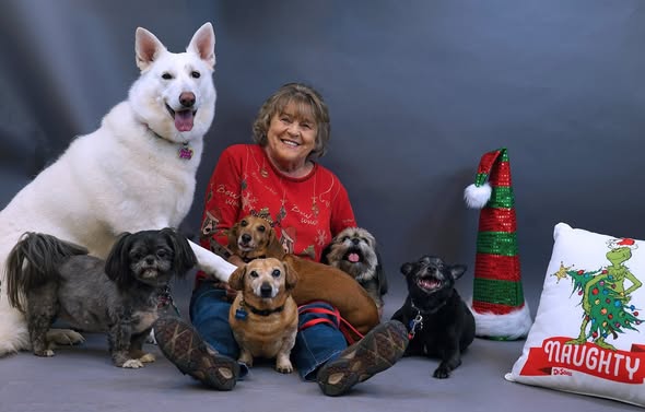 You are currently viewing Irene Peterson  Death, Funeral Information,President of the Humane Society of Decatur and Macon County
